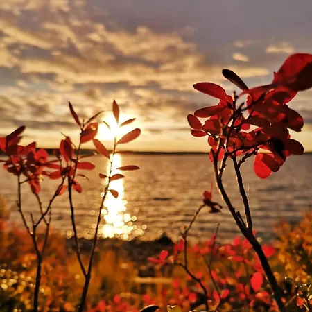 Tieva Lapland 公寓 罗瓦涅米