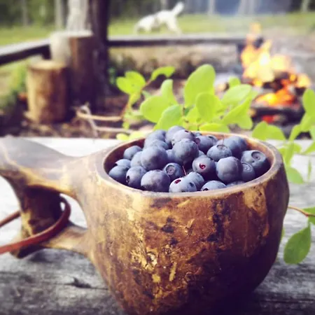 Tieva Lapland 公寓