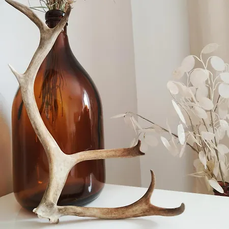 公寓 Tieva Lapland *