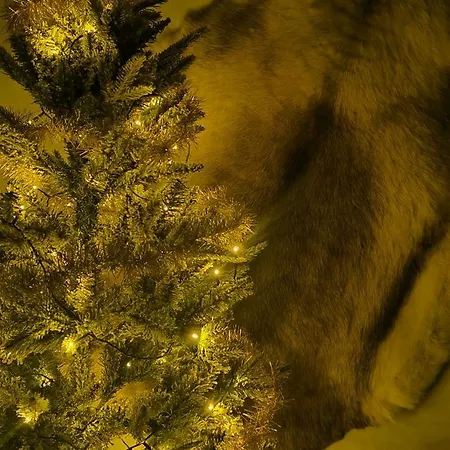 Tieva Lapland 公寓 *