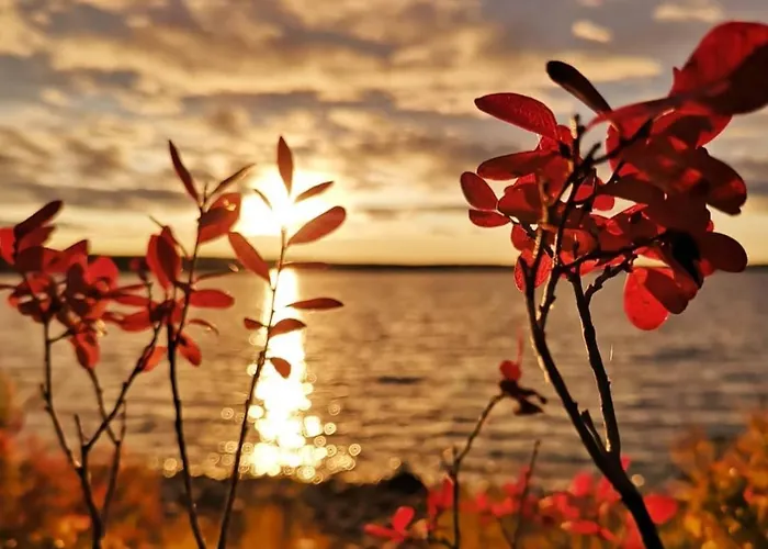 Tieva Lapland Apartamento Rovaniemi