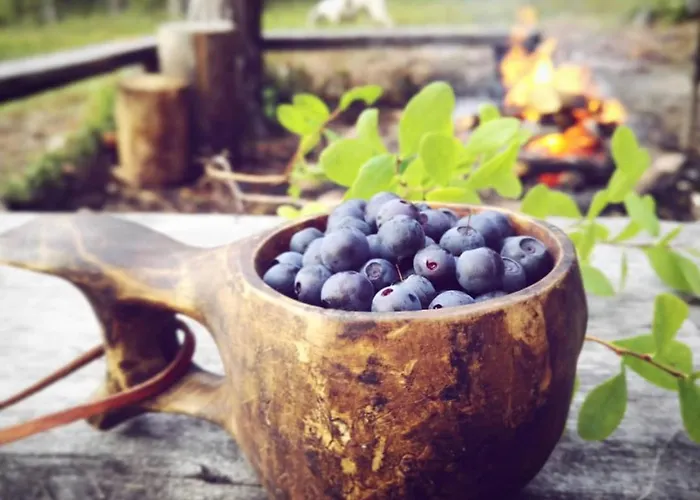 Tieva Lapland Apartamento