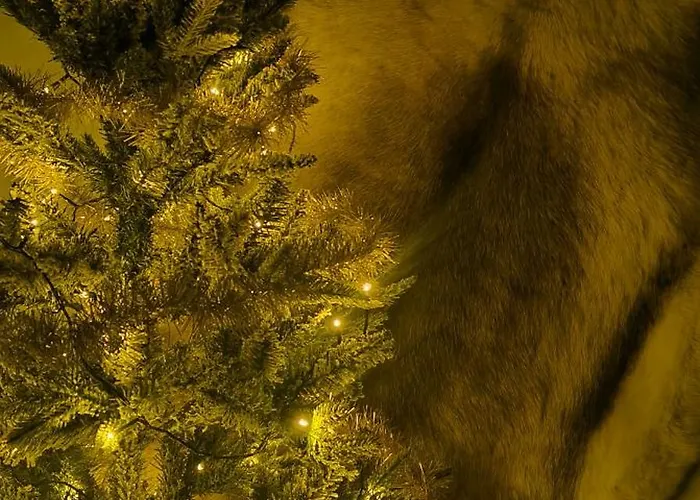 Tieva Lapland Apartamento *